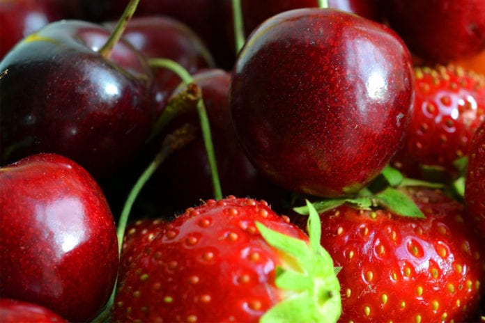 Erntezeit Kirschen Erdbeeren selber pfluecken Kitz Familie Muenchen Familienmagazin
