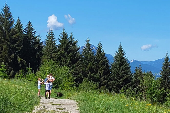 Familienwanderung am Buchenberg Ausflug Ausflugsziel Kitz Familie Muenchen Familienmagazin