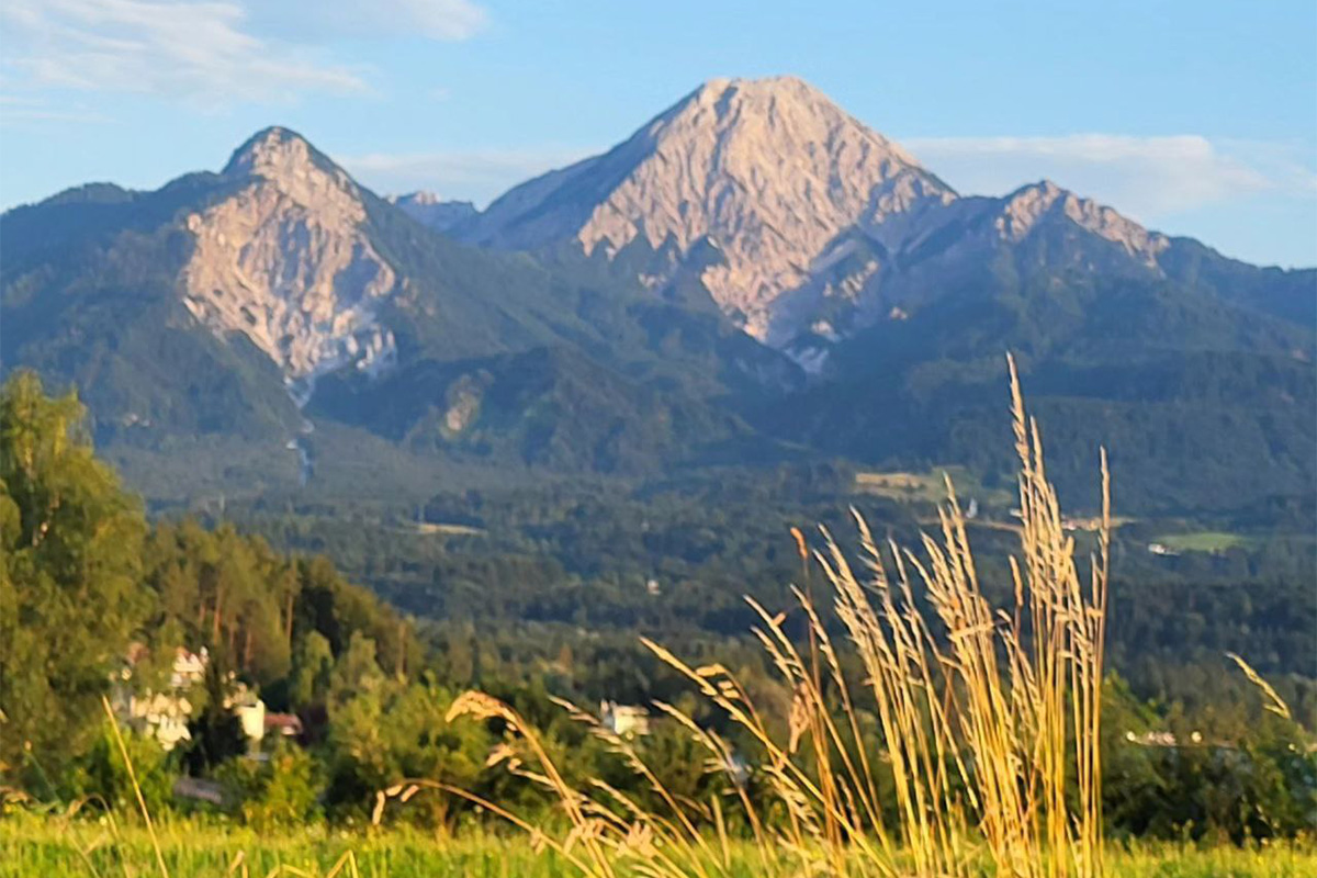 Hoteldorf Schoenleitn Urlaub Natur Kaernten Erholung Familie Kitz Familienmagazin Muenchen