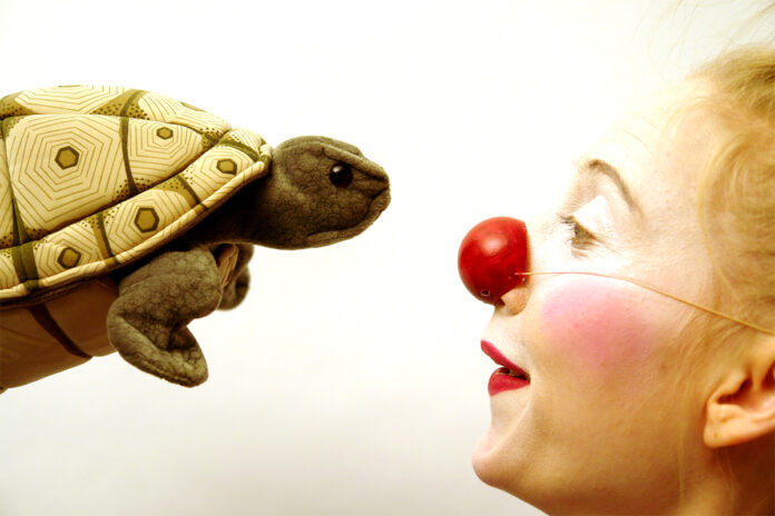 Ein Clown und eine Schildkröte